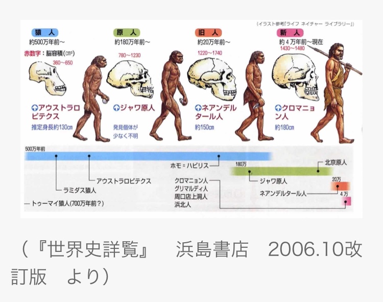 クロマニョン人に教えてもらったこと ライター コーディネートのライトスタッフ